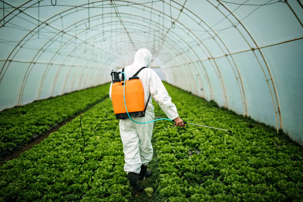 Best Commercial Pest Control Services  in Loving, NM