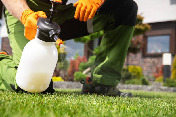 Best Pest Inspection Near Me  in Loving, NM