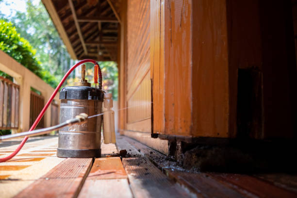 Best Insect Control  in Loving, NM