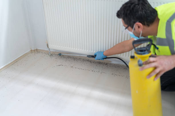 Reliable Loving, NM Pest Control Solutions